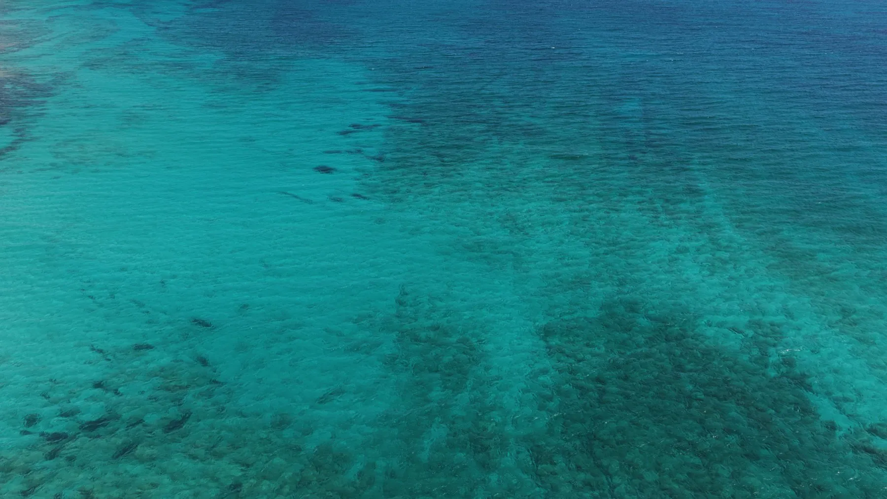 Beach shot of the Alam Al Roum shoreline 3
