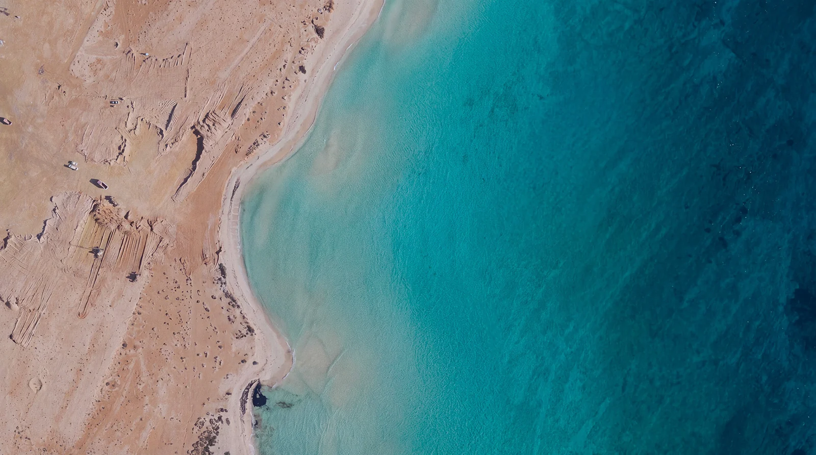 صورة من المشروع