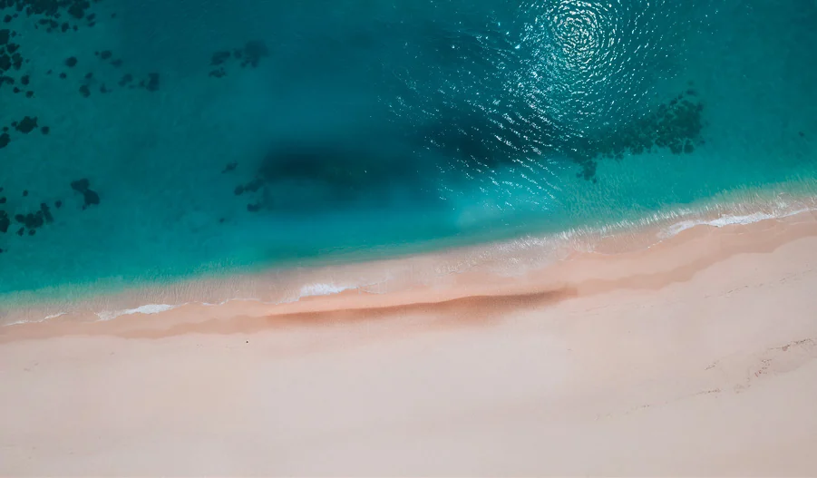 صورة من المشروع