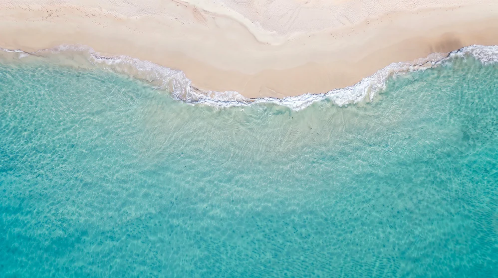 صورة من المشروع