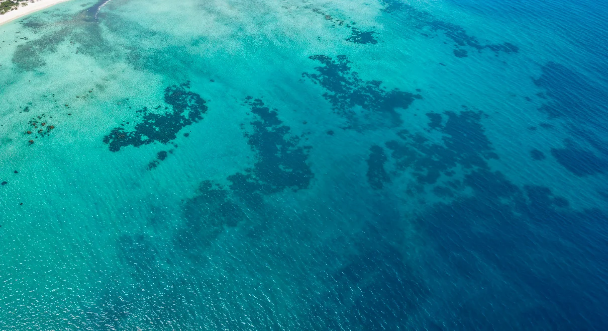 صورة من المشروع